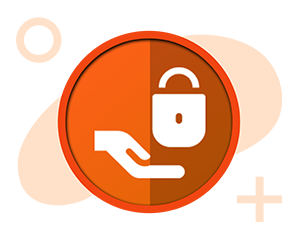 private security icon